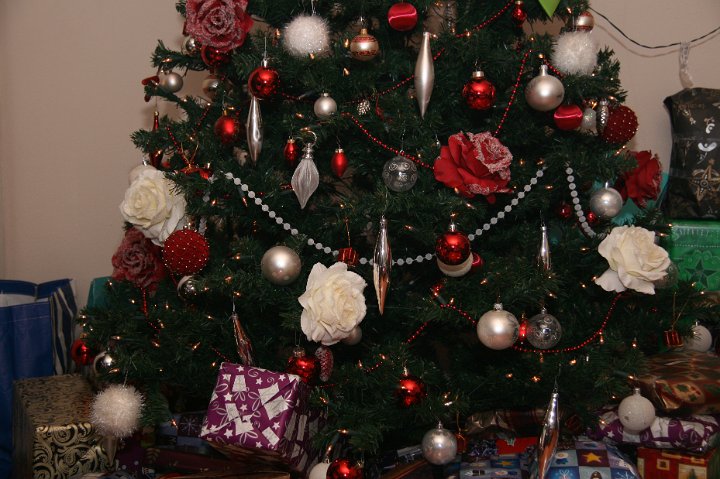 Kerst familie Gomes 2010-4.jpg